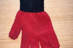Handschuhrot  (Funddatum: 01.02.2020)